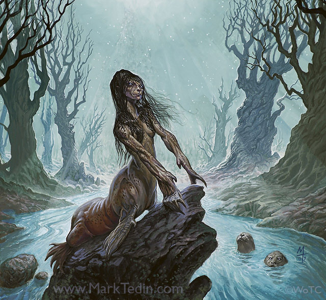 Wistful Selkie Card Art